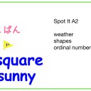 Spot it A-2 weather shape 1stのサムネイル
